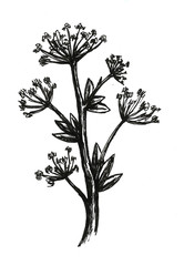 Hand drawn brunch flower illustration spring summer 