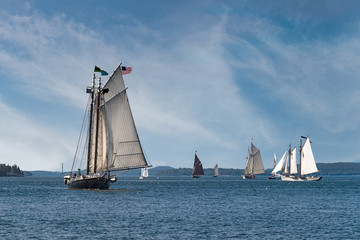 Fototapeta premium Wooden Boats Sail Into Boat Festival