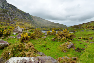 Fototapeta na wymiar The River Loe and narrow mountain pass road wind through the steep valley of the Gap of Dunloe, County Kerry, Ireland