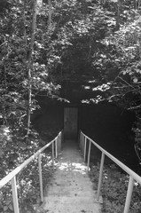 Stairs Down to Creepy Dark Door Black and White