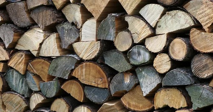 Stacks of firewood. Pile of firewood prepared for fireplace. Firewood background.