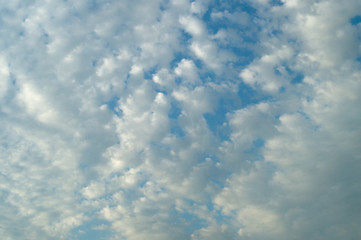 Fototapeta premium A blue day sky with rare beautiful clouds for the designer's background