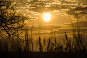 The sky at sunset