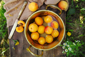 спелые абрикосы в миске с водой на скамейке в саду