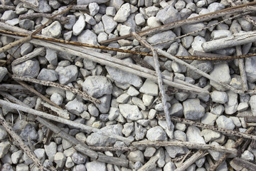 Many dry reed stalks lie on gravel