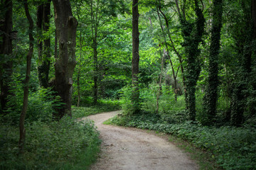 Ein Weg ins Ungewisse