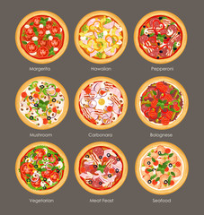 Vector illustration set of different pizza top view with ingredients. Italian tasty and bright colors pizza, vegetarian, mushroom, hawaiian and meat feast in flat cartoon style on grey background.