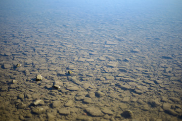 Background with a many gray stones and shells soaked in shallow water. River Rhine in Germany.