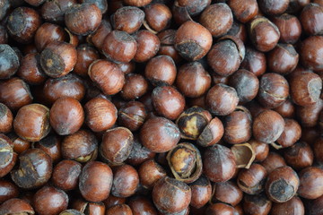 A lot of hazelnuts.