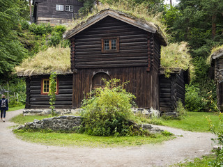 Cabañas tipicas Noruegas en Oslo, que tienen hierba en el tejado, verano de 2017

