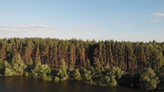 The camera flies over the river in front of the forest.4k.