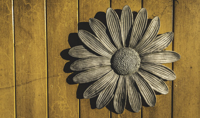 sunflower on wall