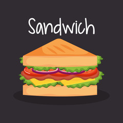 delicious sandwich fast food vector illustration design