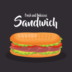 delicious sandwich fast food vector illustration design