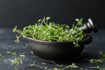 Fresh green thyme herb in cast iron spice grinder or mortar on black stone background, close up view