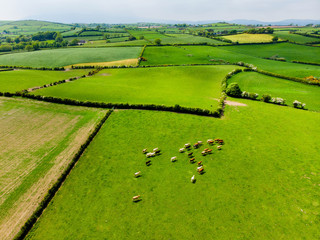 Aerial view of endless lush pastures and farmlands of Ireland. Beautiful Irish countryside with...