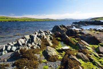 Fototapeta na wymiar Rough and rocky shore along famous Ring of Kerry route. Rugged coast of Iveragh Peninsula, Ireland.