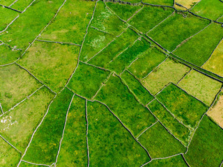 Aerial view of Inishmore or Inis Mor, the largest of the Aran Islands in Galway Bay, Ireland. © MNStudio