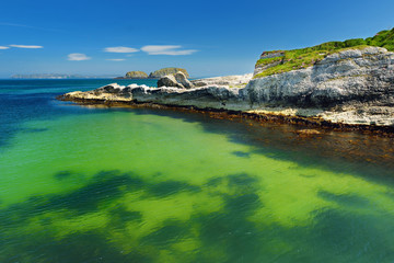 Vivid emerald-green water at Ballintoy harbour along the Causeway Coast in County Antrim, Northern...