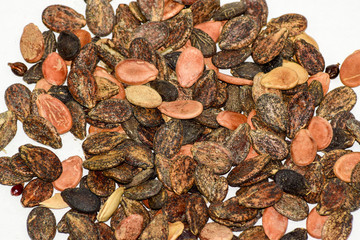 Seeds of watermelon on a white background. watermelon seeds for sowing
