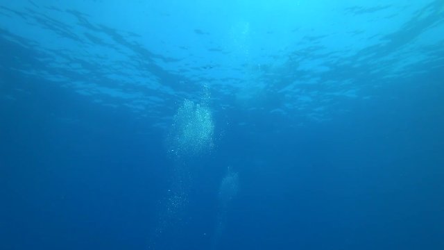 Rafa koralowa .Dahab. Egipt