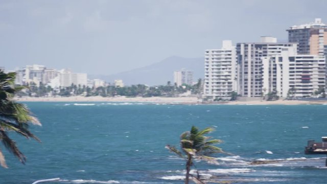 Palm Tree in Front of San Juan Resorts