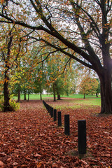 Nice park in autumn