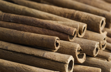 Close up lots of cinnamon healthy spice 