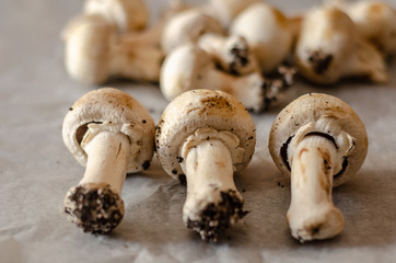 freshly harvested dirty mushrooms spread on paper, raw and healthy vegetables