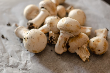 freshly harvested dirty mushrooms spread on paper, raw and healthy vegetables