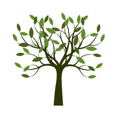 Obraz premium Green Tree with Leaves. Vector Illustration.