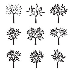 Set of Black Trees with Leaves. Vector Illustration.