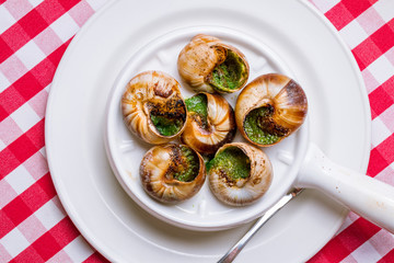 Burgundy grape snails