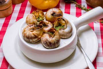 Burgundy grape snails