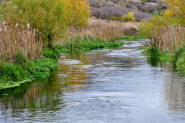 meandering creek through the high desert in fall