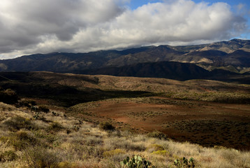 Obraz premium Foothills of Arizona