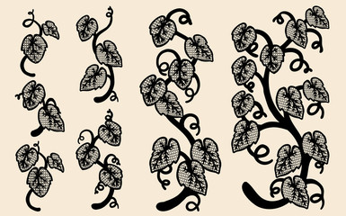 Set of vine vector lace by hand drawing.Beautiful lace on brown background.Plant lace art highly detailed in line art style.Vine tattoo on vintage paper.