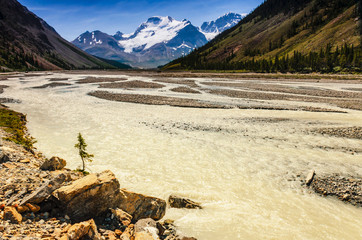 Yellow river between the mountains in Banff National Park
