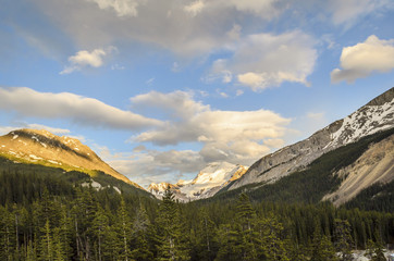 dense coniferous forest, high mountains covered with snow, blue sky and fluffy clouds