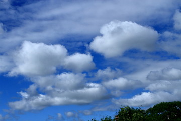 Obraz premium 札幌の青い空と白い雲の風景