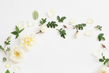 roses on white background