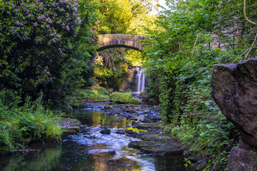 Jesmond Dene Park, Newcastle upon Tyne