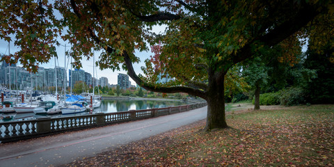 Beautiful city park at autumn