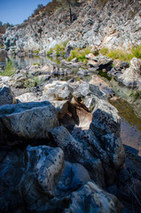 consumnes river drought reveals polished granite rock