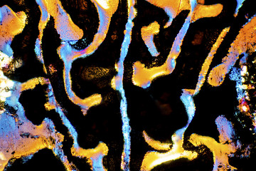 Abstract micrograph of patterns in glue on a microscope slide.