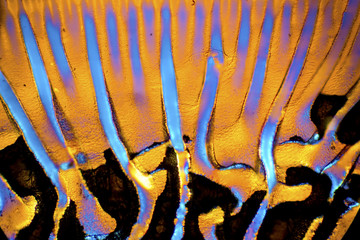 Abstract micrograph of patterns in glue on a microscope slide.