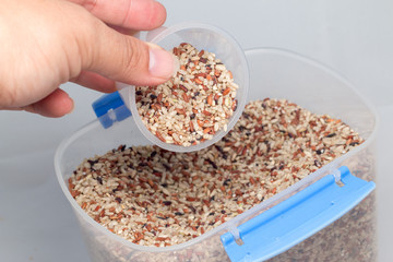 Raw brown rice isolated on white