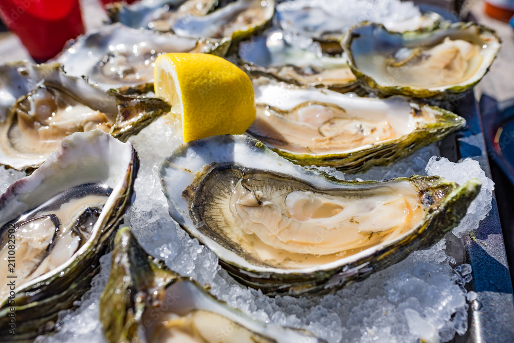 Wall mural half shell shucked oysters on a bed of ice - borderless - with lemon slice