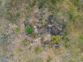 Remains from the campfire on the grass