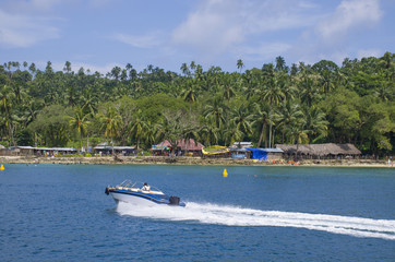 Obraz premium The beautiful landscape of Andaman and the Nicobar Islands in India 